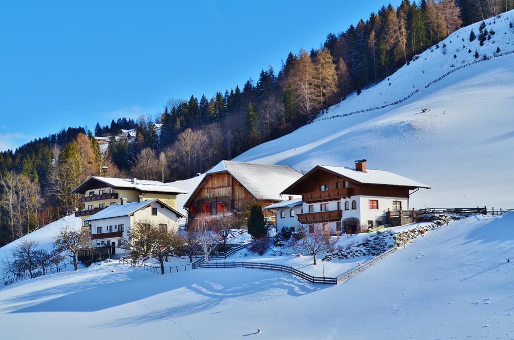 Spreitzhof - Appartements Schladming Exterior foto